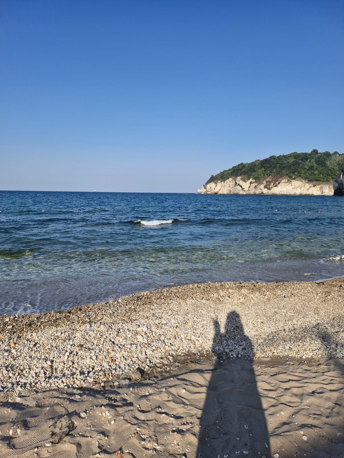 Sultan Borne Avatar Sol